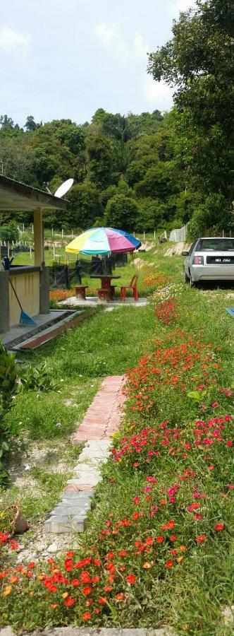 Kuntum Cottage Bed & Breakfast Kampung Tanjung Ipoh Екстер'єр фото