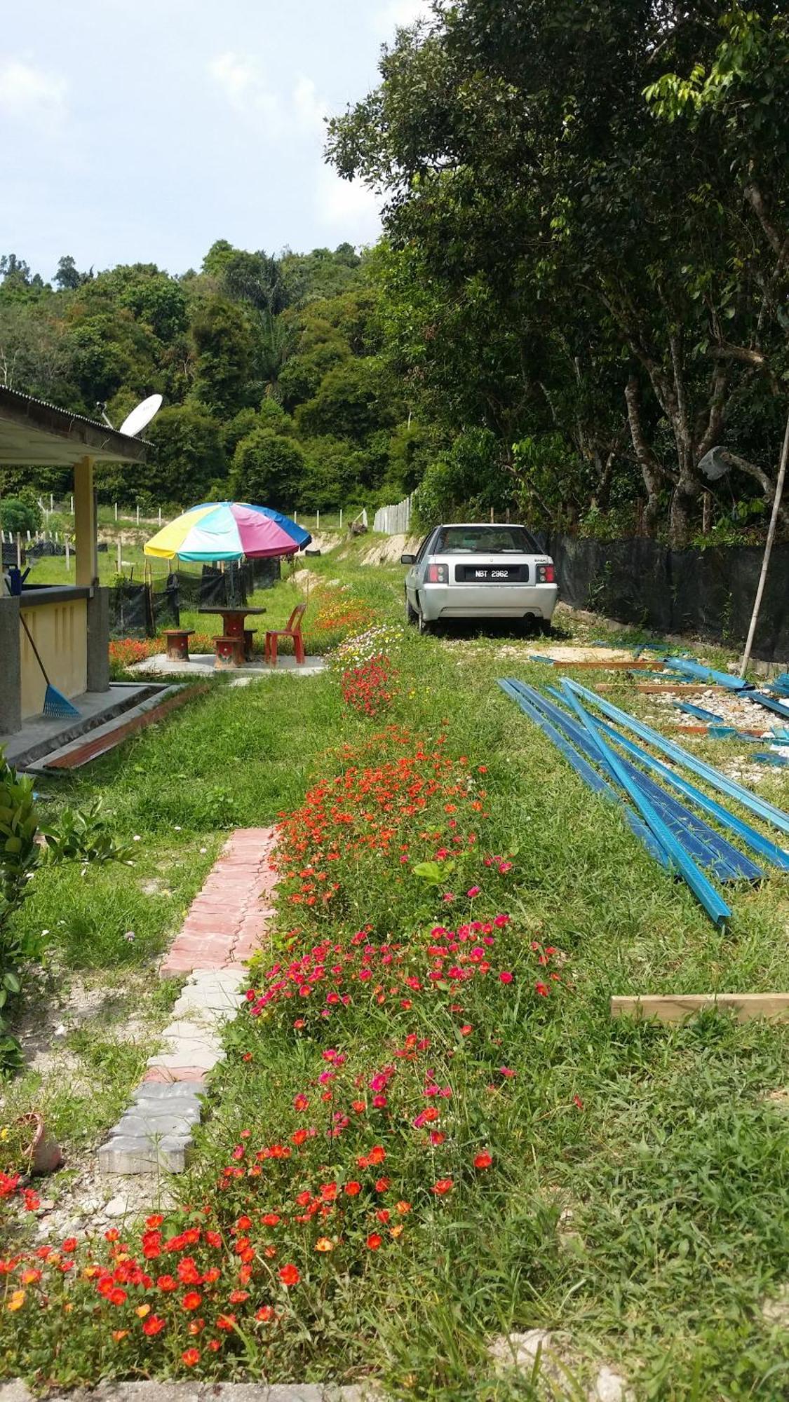 Kuntum Cottage Bed & Breakfast Kampung Tanjung Ipoh Екстер'єр фото